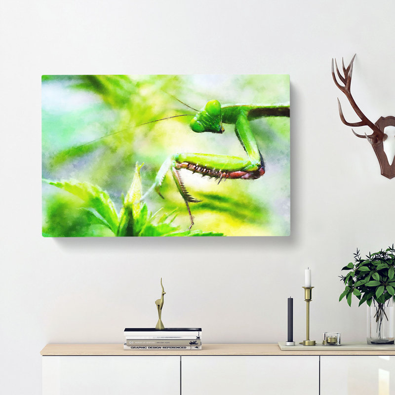 Peering Praying Mantis - Wrapped Canvas, 40cm H x 60cm W x 3cm D