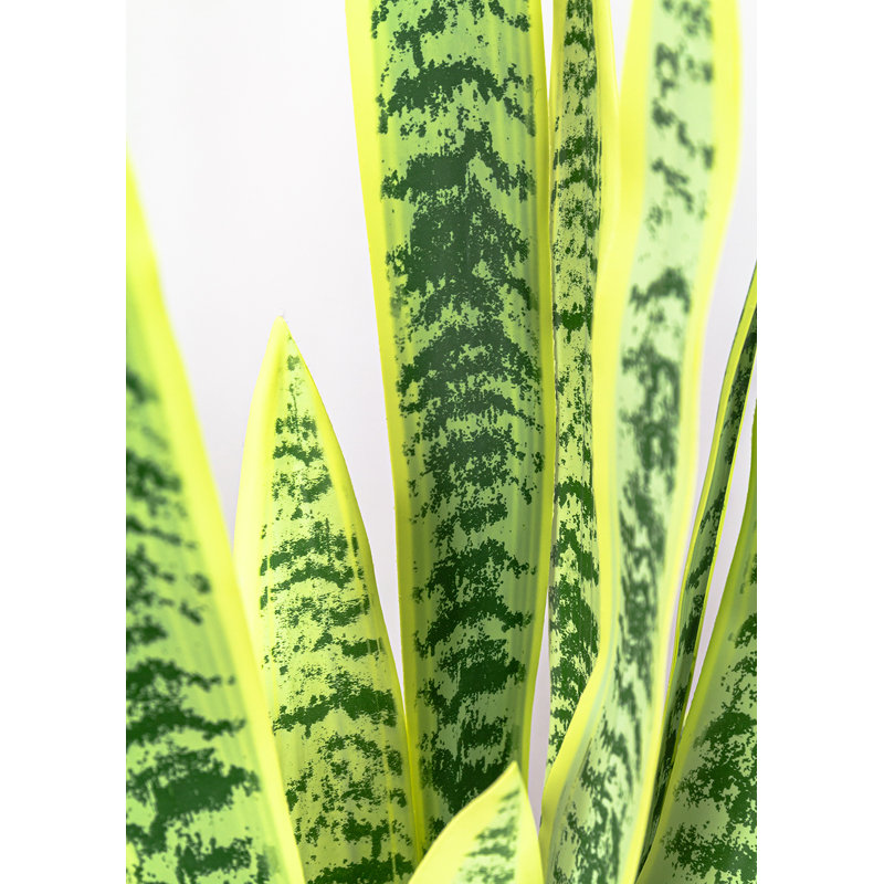 Fausse plante dracéna en pot Rummond, Vert et jaune, H 52 po x l 20 po x P 20 po