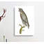Least Horned Owl by George Shaw - Wrapped Canvas Painting-55330562