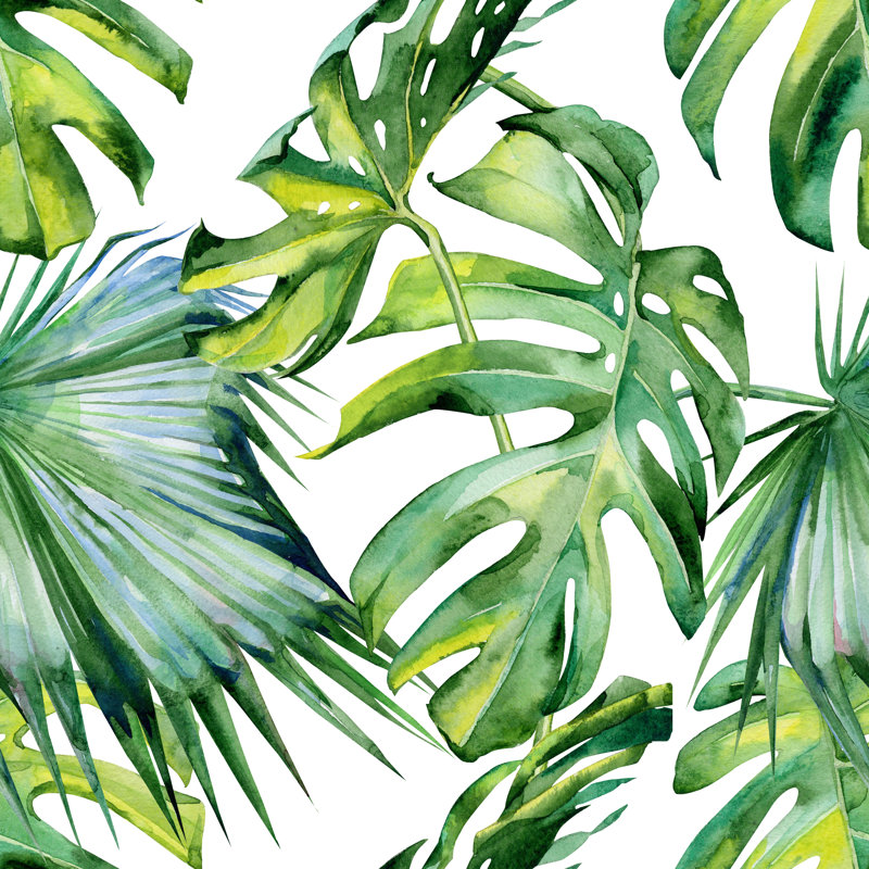 Illustration Of Tropical Leaves by Annaveroniq - Wrapped Canvas Print, 91cm H x 91cm W x 3.8 cm D