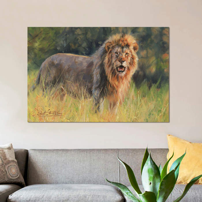 « lion evening light », impression sur toile, H 26 po x l 40 po x P 1,5 po, Pas de tapis, Toile tendue