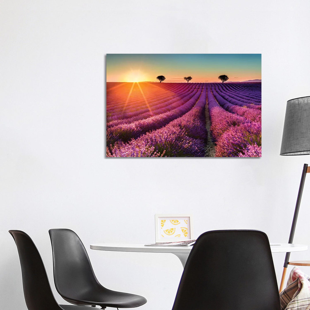 Plateau De Valensole Lavendelfeld Sonnenuntergang II von Susanne Kremer - Galerie-verpackte Leinwand Giclée