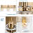 Leyden 3 - Light Dimmable Vanity Light