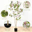 Bougainvillier artificiel 6 pi avec pot noir, plante à fleurs réaliste réaliste pour la décoration intérieure de bureau à domicile, bougainvillier en pot avec motif détachable