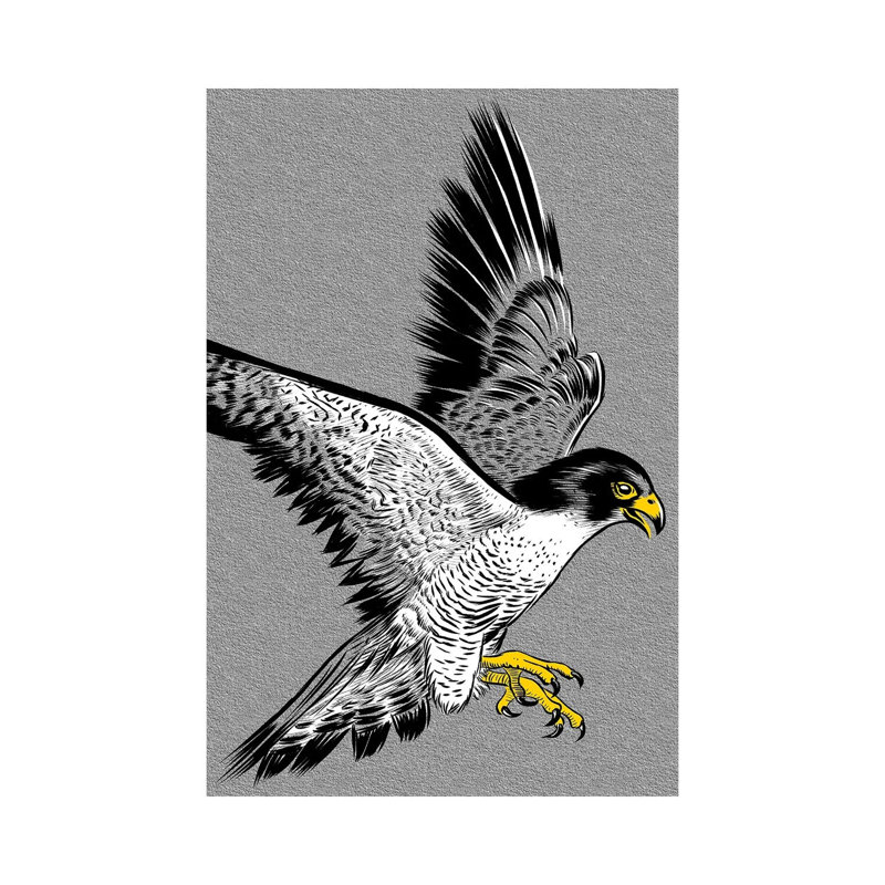 Hawk Sketch by Alberto Perez - Wrapped Canvas Print, 66.04 cm H x 45.72 cm W