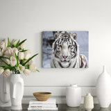 White Tiger Sighted Print