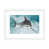 White Framed Paper
