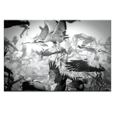 Photographers Lane - Wrapped Canvas Print