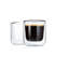 Nero Insulated Double Wall Drinking Glass
