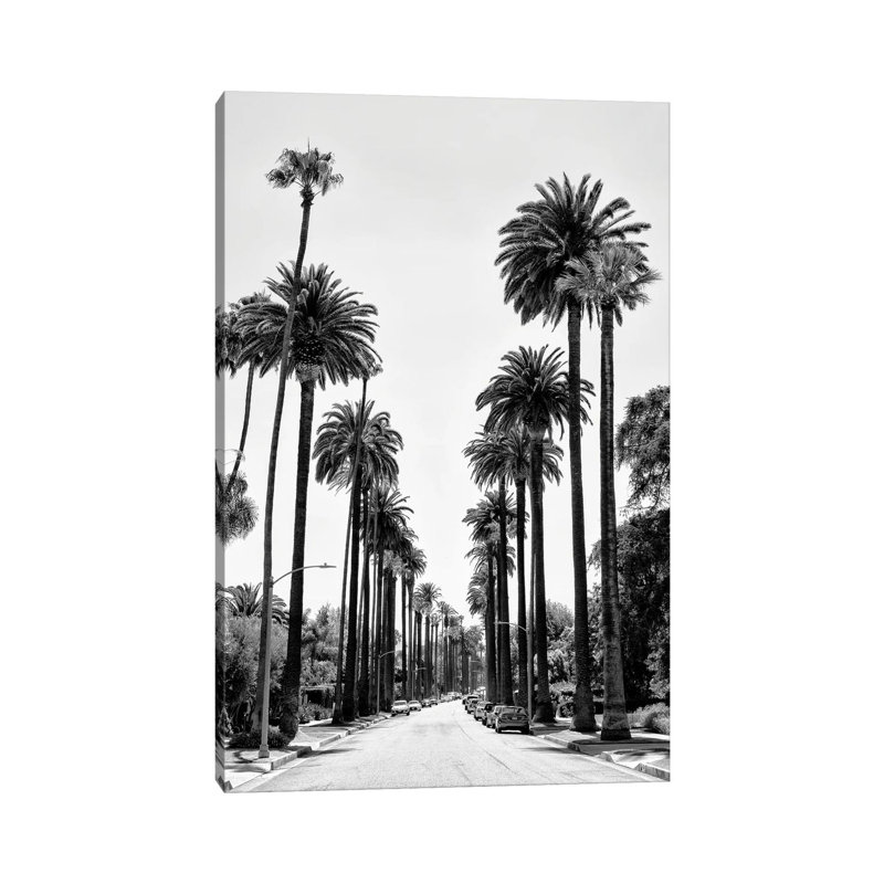 Black California Series - Beverly Hills Palm Alley - Wrapped Canvas Print, 20.32 cm H x 30.48 cm W