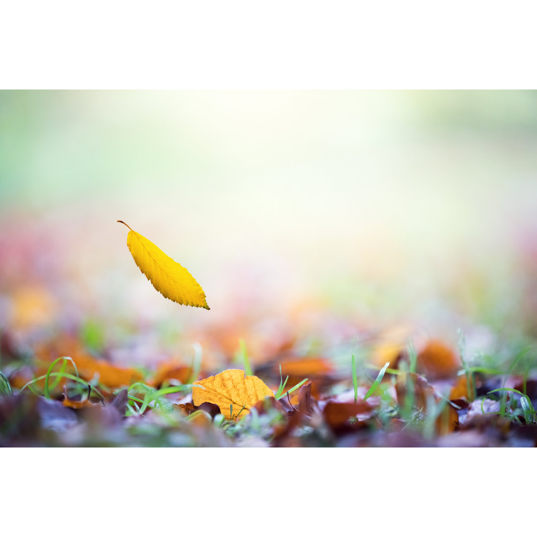 Falling Autumn Leaves von Borchee - Druck auf Leinwand ohne Rahmen