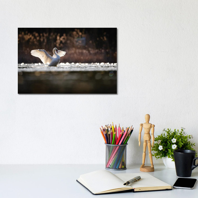 Mute Swan by Mateusz Piesiak - Wrapped Canvas Print, 20.32cm H x 30.48cm W x 1.905cm D