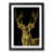 Black Framed