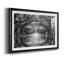 Oak Alley Reflection - photographie de cadre-862675885-862675886