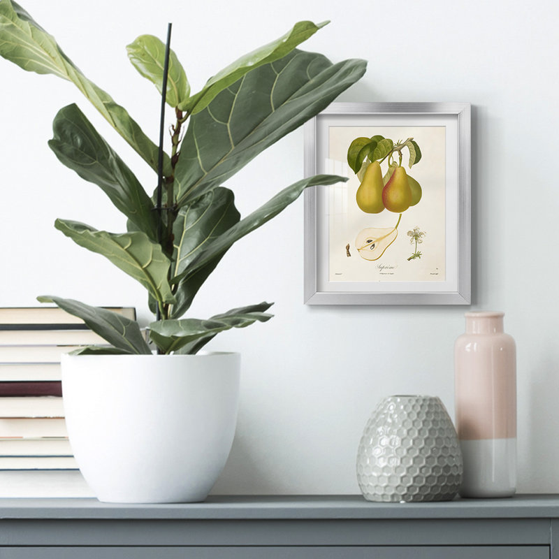 Aneres -Gallery Wrapped Canvas