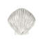 1 1/2" Seashell Knob-39948804-104673476-126755986
