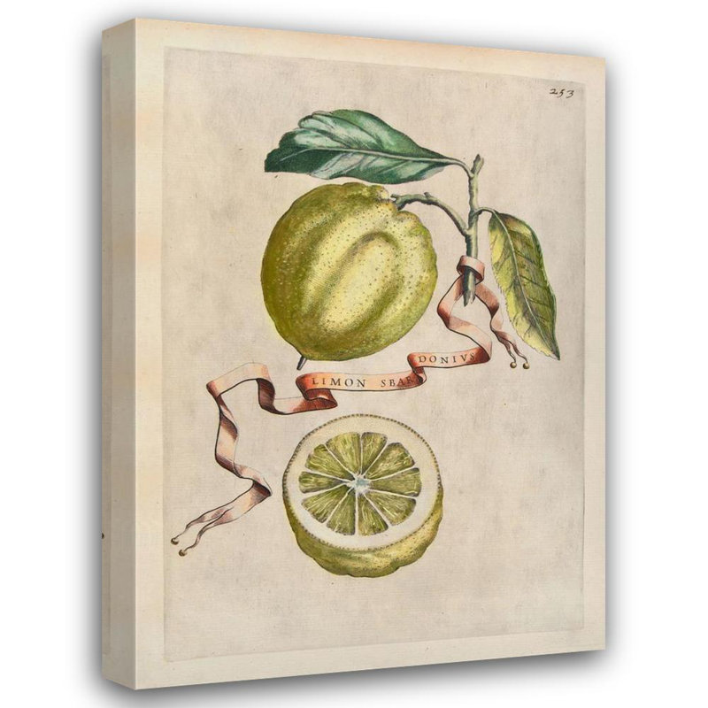 Baroque - Citrons, H 24 po x l 17 po