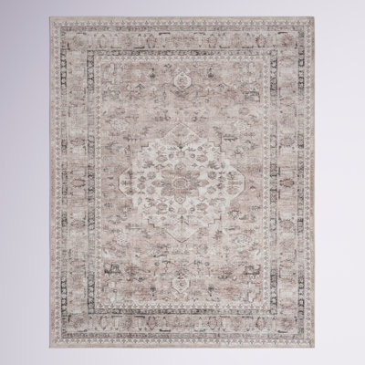 Davi Faded Traditional Spill Proof Machine Washable Area Rug