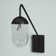 Burrus Plug-in Armed Sconce