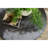 Cinder Cocktail Table