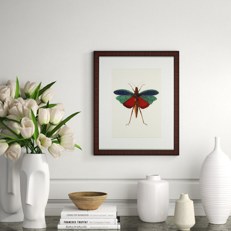 Tropical Insect I Print