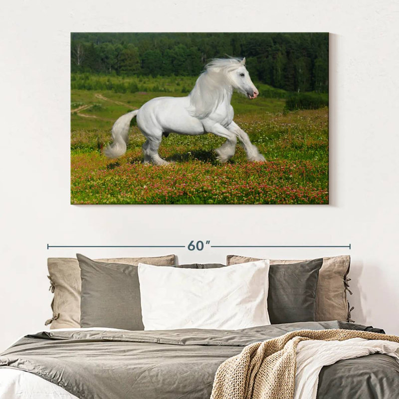 Shire Horse In The Meadow