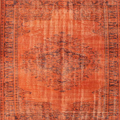 Oriental Indoor Rug