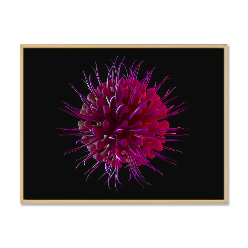 Impression sur toile mauve à motif floral cosmique, H 24 po x l 36 po x P 1,5 po, Cadre flottant brun