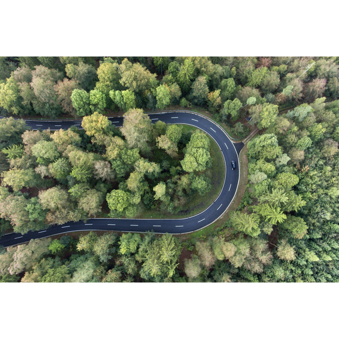 Road Curve In The Forest Luftaufnahme von Ollo - Ohne Rahmen auf Leinwand drucken