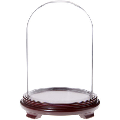 Keisher 8" x 12" Glass Display Dome Cloche