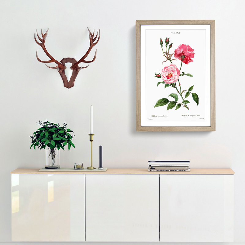 Ever-blowing Pink Roses by Pierre-Joseph Redoute - Picture Frame Painting Print, 65cm H x 48cm W x 2cm D, Oak Framed