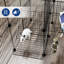 Gullo Portable Cat Cage