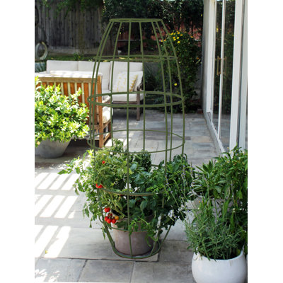 Toki 58'' H x 24'' W Steel Obelisk Trellis
