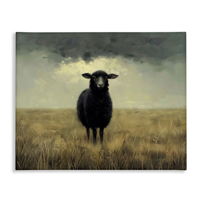 «Black Sheep in Field Field», conception par Arlington Prints, H 16 po x l 20 po