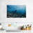 Senne Scuba Diver-107502851