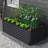 6x3x2ft Galvanized Raised Garden Bed, Durable Metal Planter for Outdoor Gardening, Ideal for Vegetables, Fruits, and Flowers-2105361823