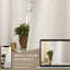  Rideaux semi-transparents texturés en lin mélangé froissé de style campagne neutre pour salon / chambre à coucher Darpes-1110449502-1110449503