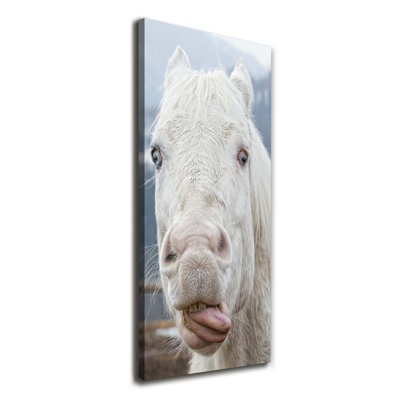 Crazy White Horse - Wrapped Canvas Print