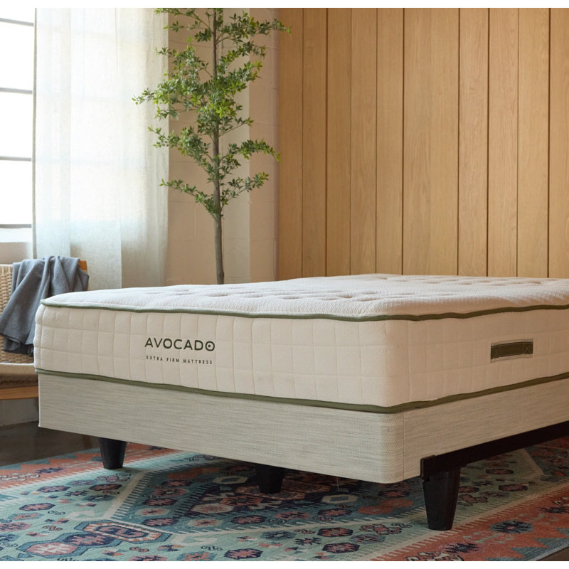 Avocado Foundation, Queen