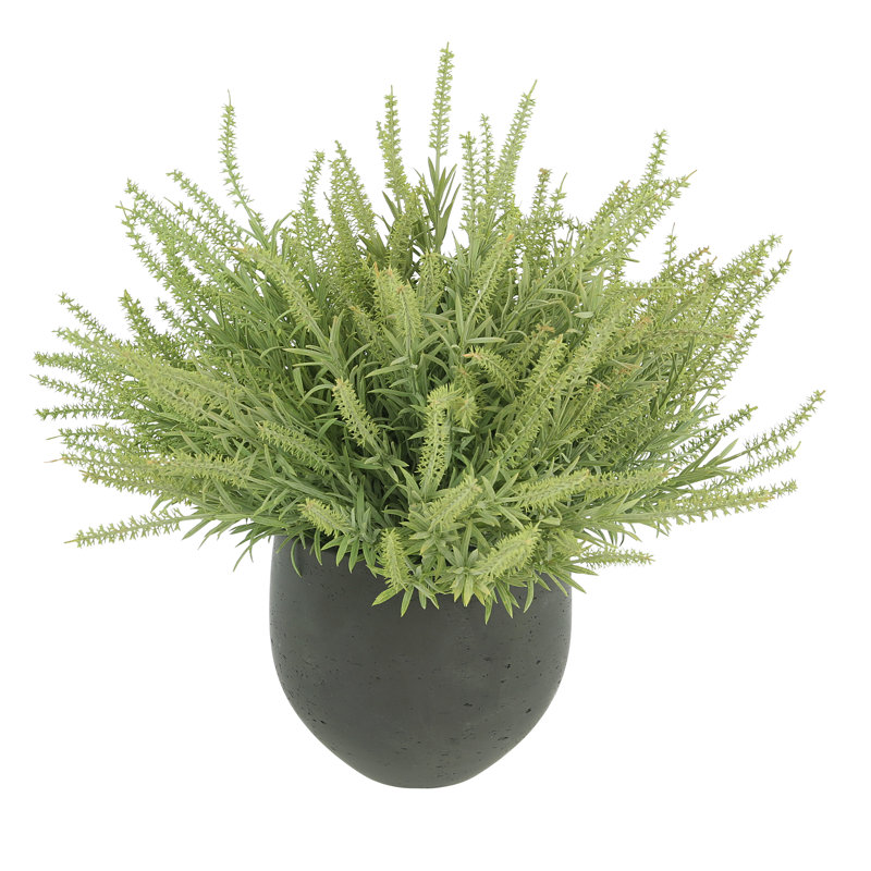 Astilbe Arrangement In A Fiberstone Pot