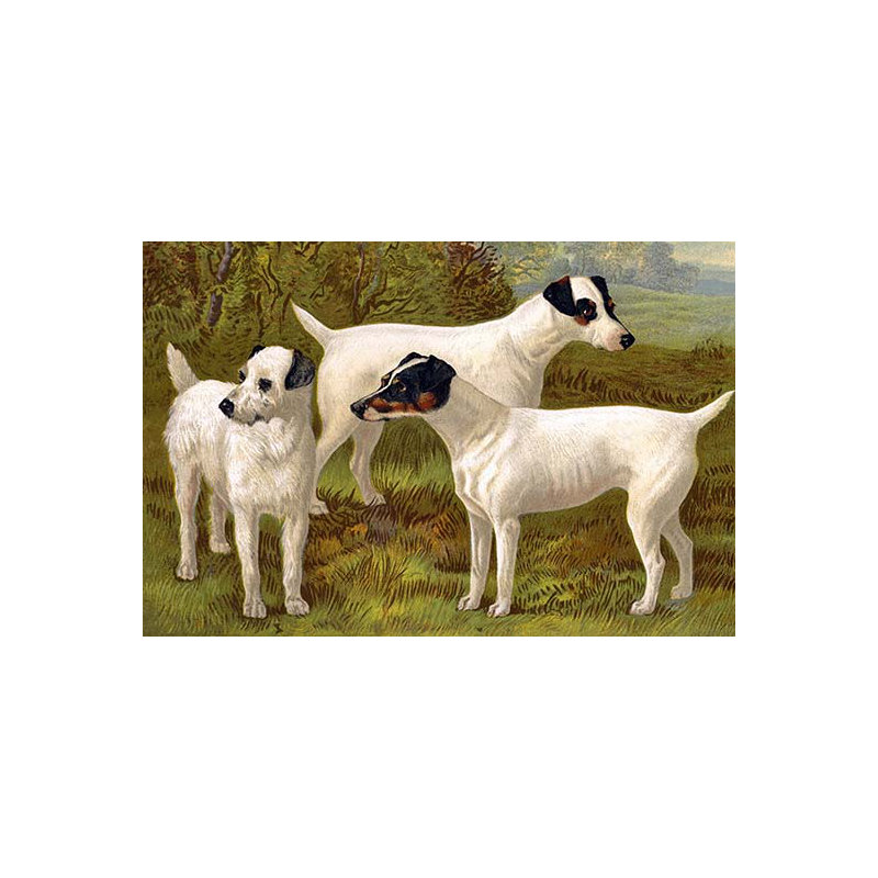 Fox terriers de vero shaw-impression, H 24 po x l 36 po x P 1,5 po