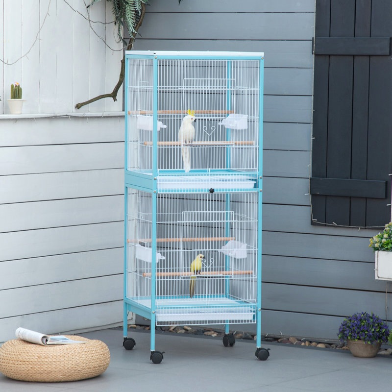 Cage à oiseaux Pawhut Largeur pour envergure, volière d'oiseaux d'intérieur avec conception à portes multiples, convient pour un canari, pinson, conure, 55 po, bleu clair