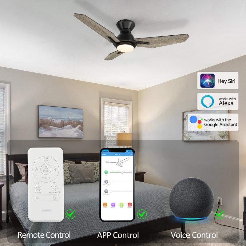 Elegis 44'' Ceiling Fan with LED Lights
