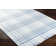 Cay Plaid Handmade Flatweave Recycled P.E.T. Area Rug in Blue/White