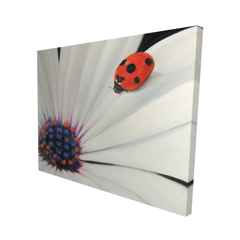 White Daisy and Ladybug - Floral Black Canvas Home Decor
