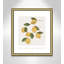 Amalfi Lemons - cadre photo, impression-66318803-66318807