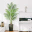 182.88cm Palm Plant