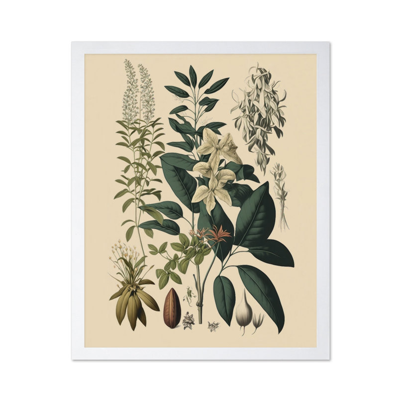 Fleur sauvage n ° 1, Affiche, Encadrement blanc, H 16 po x l 20 po