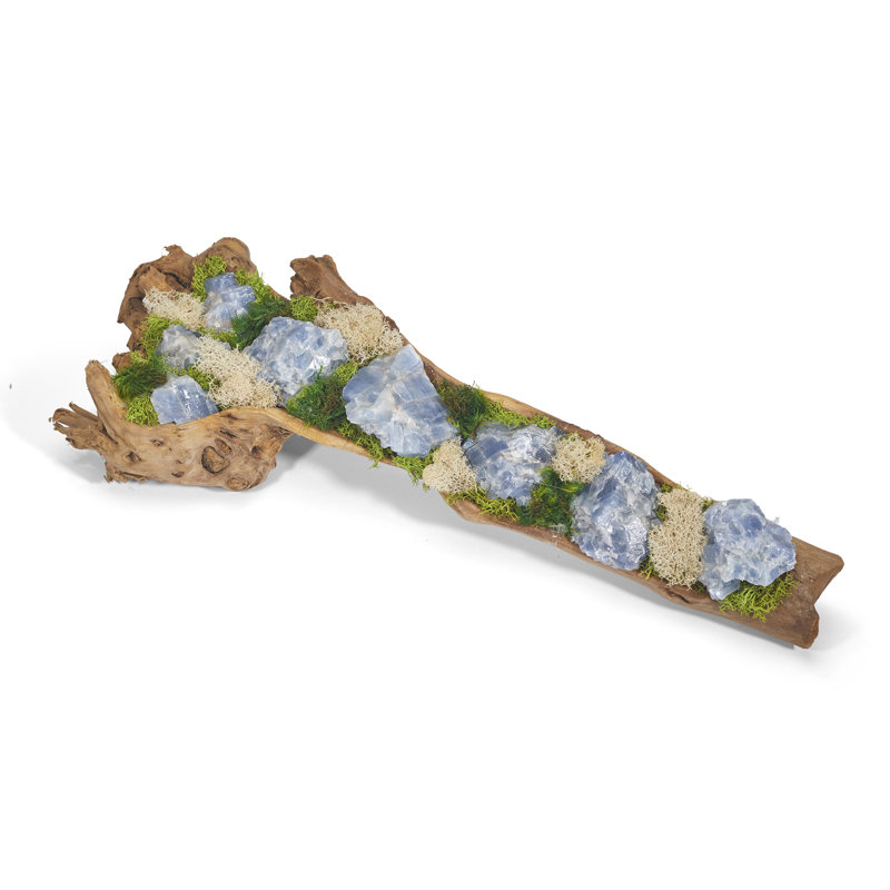 Moss Plant in Wood Planter