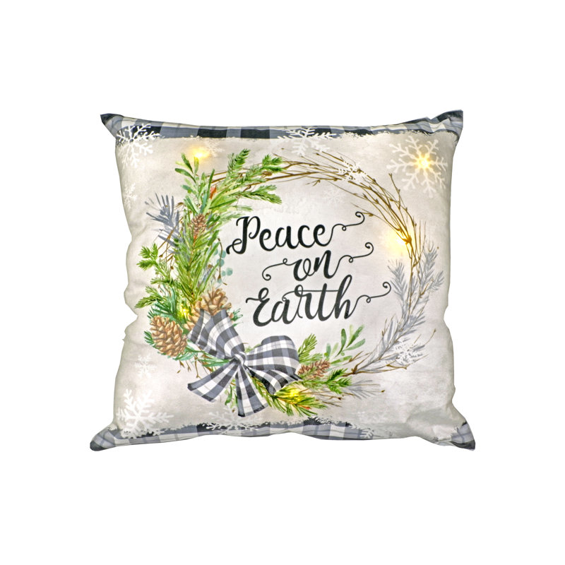 Housse de coussin carré en velours Vasek